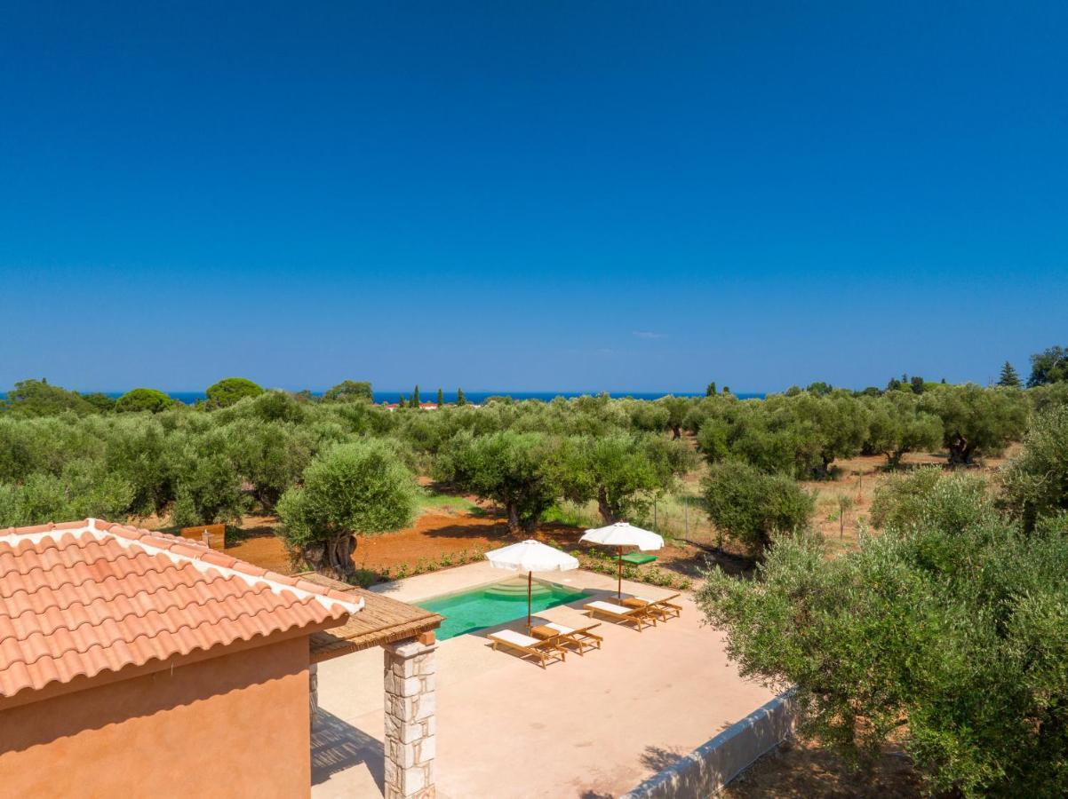Terra Oleana Cottages Vasilikí Esterno foto